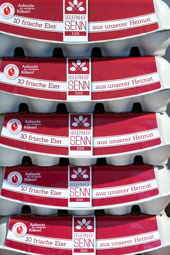 10er Packungen frische Senn Eier