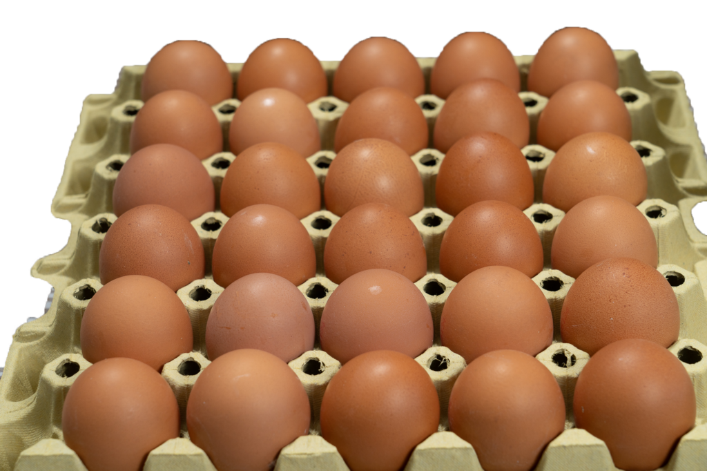 30er Palette vom Bauernhof Senn