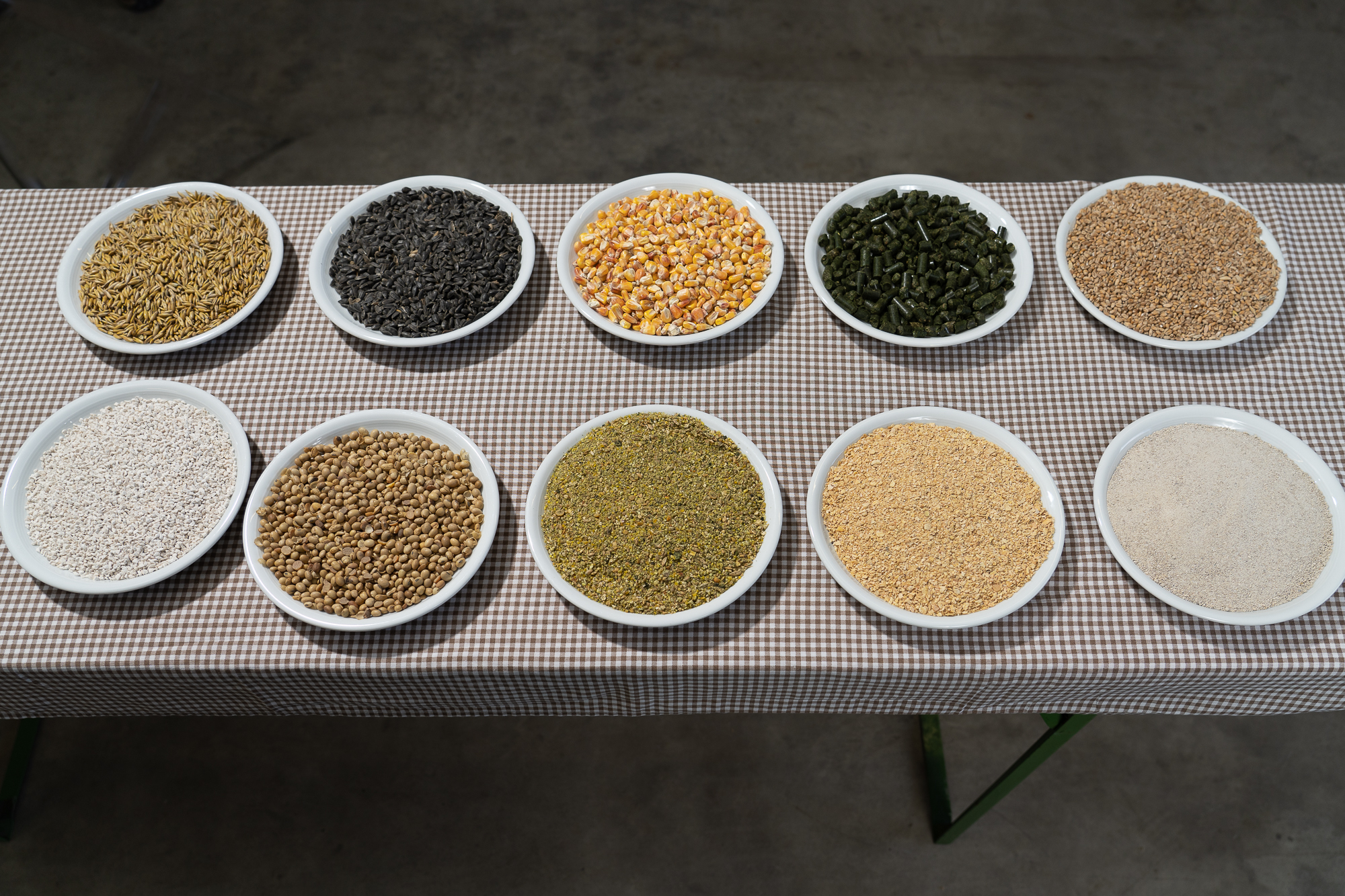 Sorten Getreide und Gersten